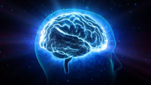 CEREBRO.jpg