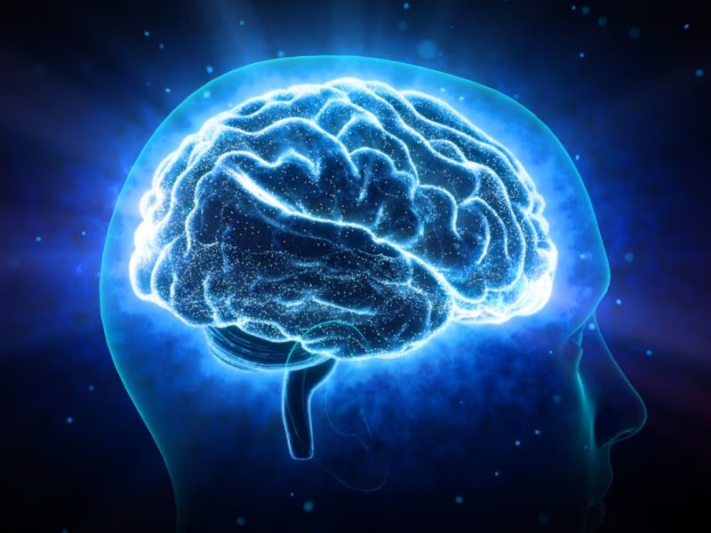 CEREBRO.jpg