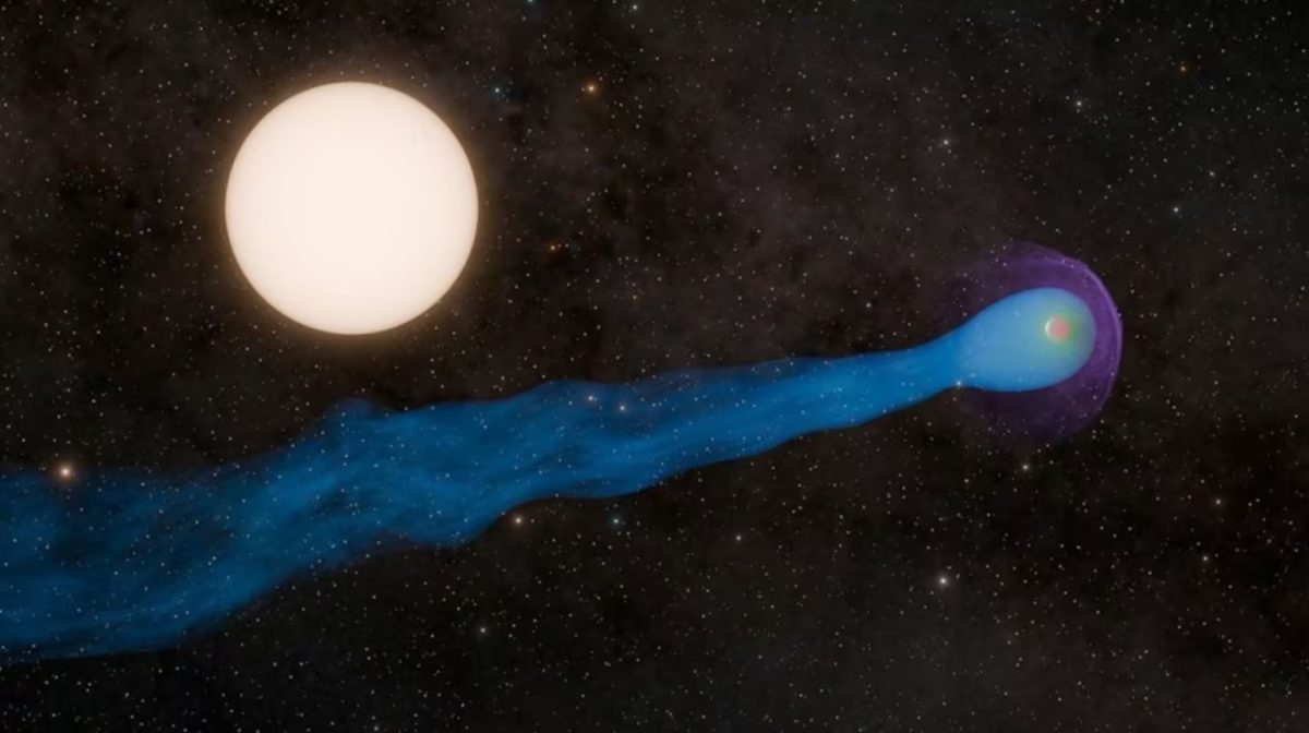 ESTRELLAS.jpg