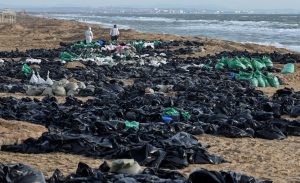 PETROLEO 1.jpg