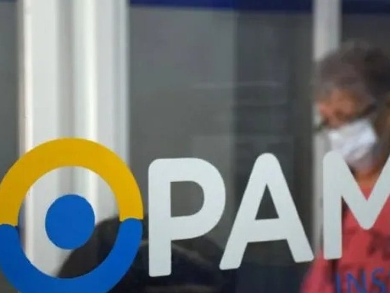 pami-portadazajpg.jpg