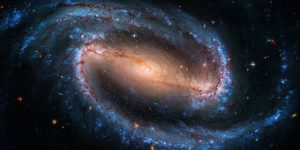 nationalgeographic_2808031_bx.jpg