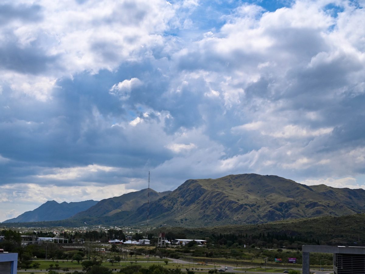 DSC_4427-1536x1022-2.jpg