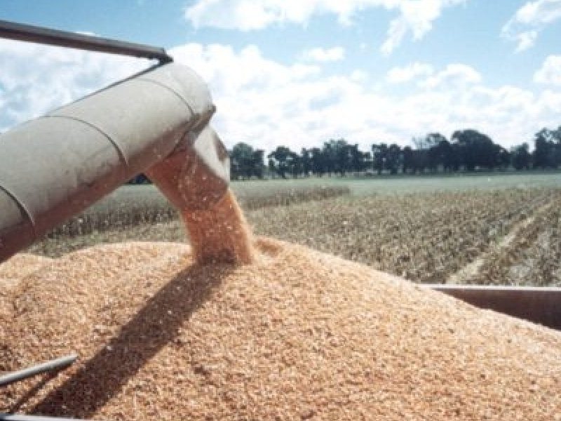Agroindustria-5-e1479990705509.jpg