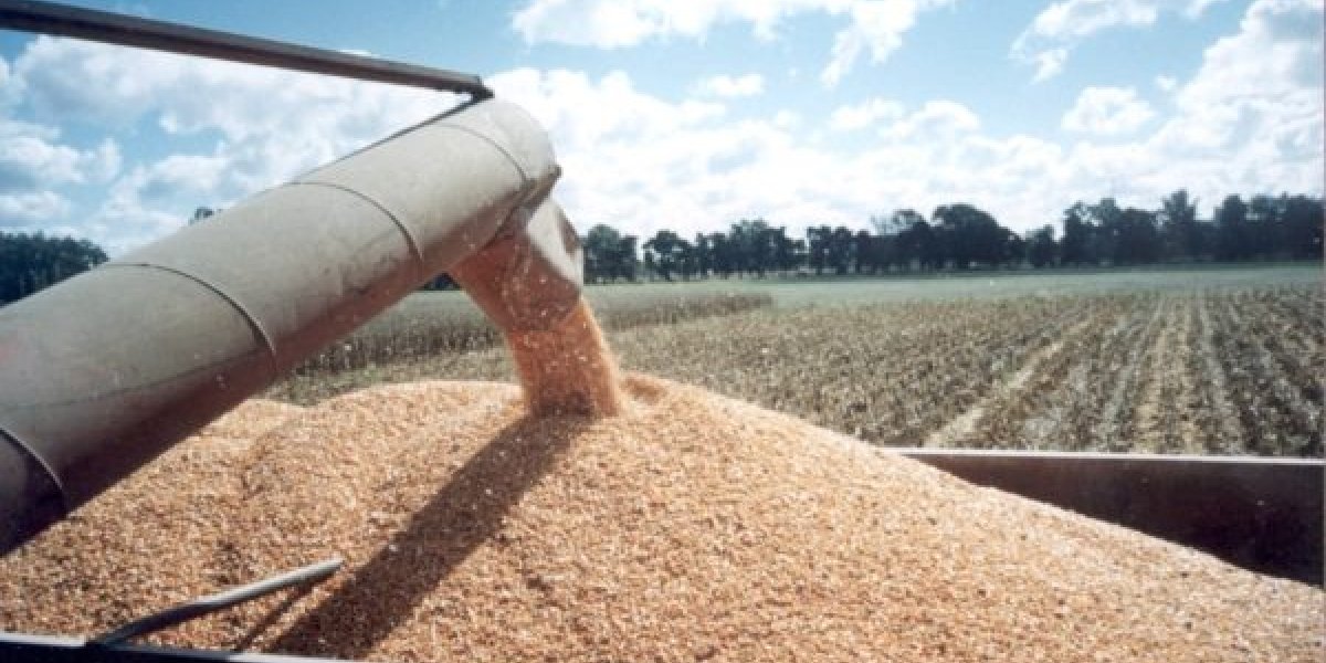 Agroindustria-5-e1479990705509.jpg