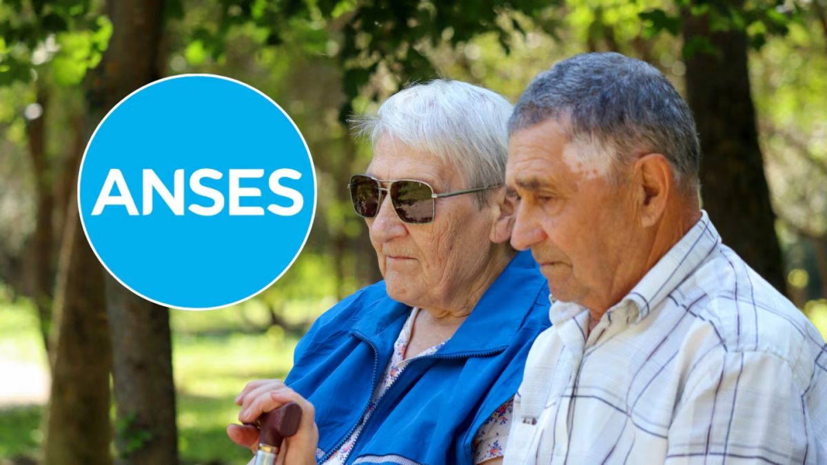 anses.jpg