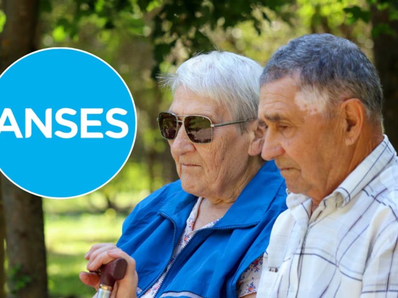 anses.jpg