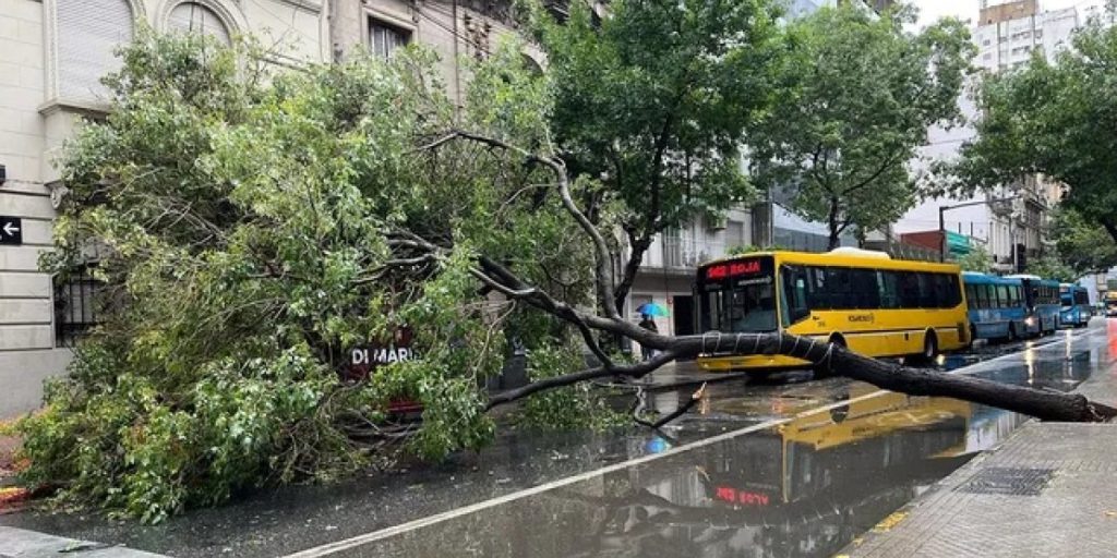 ROSARIO.jpg