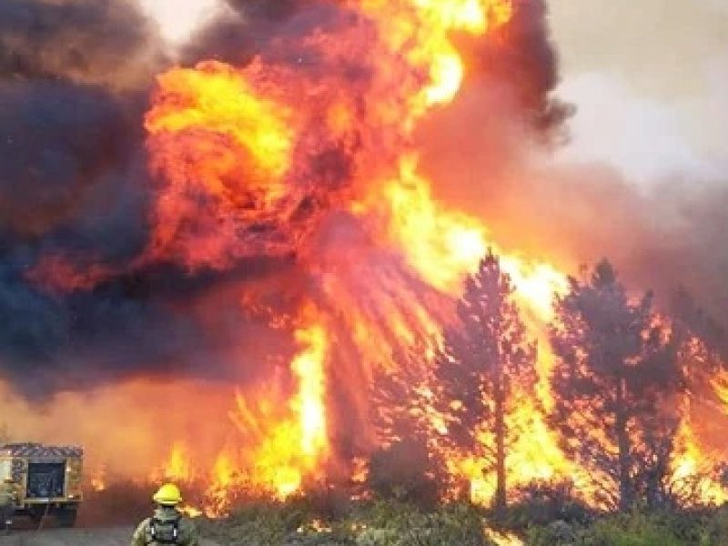INCENDIOS.jpg