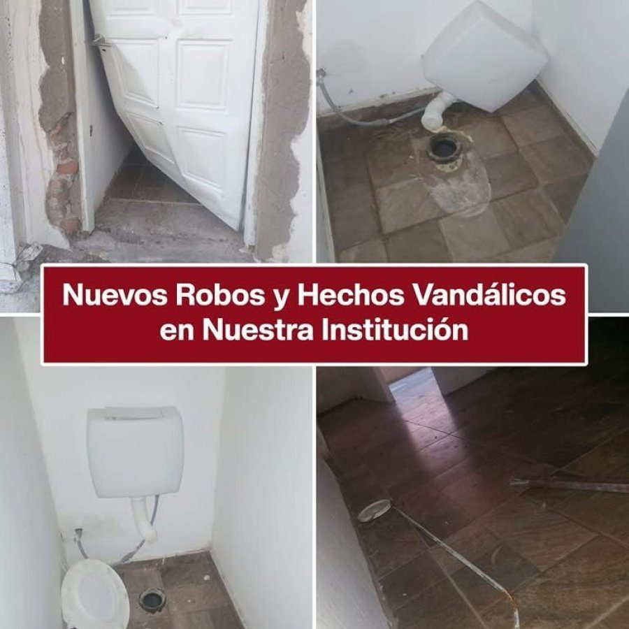 WhatsApp Image 2025-03-31 at 12.59.38.jpeg