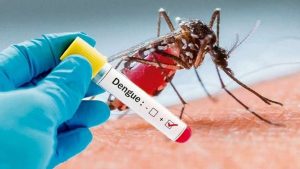 DENGUE.jpg