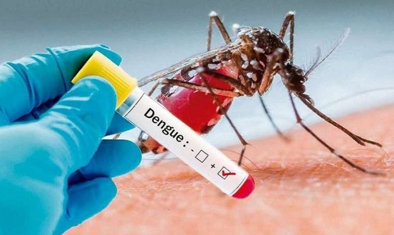 DENGUE.jpg