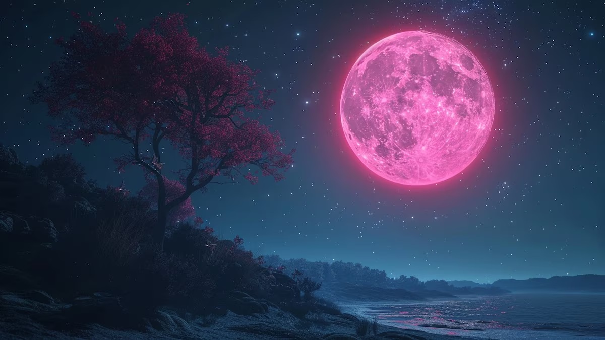 LUNA ROSA.jpg