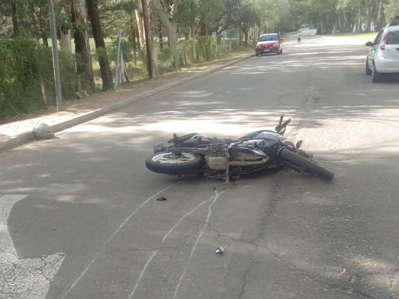 Imagen de WhatsApp 2025-04-18 a las 07.04.29_6d17d58f.jpg
