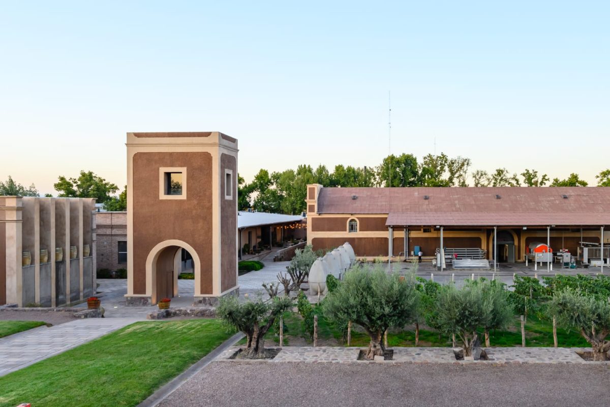 bodega de menoza.jpg