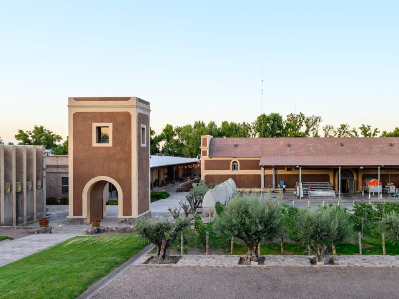 bodega de menoza.jpg