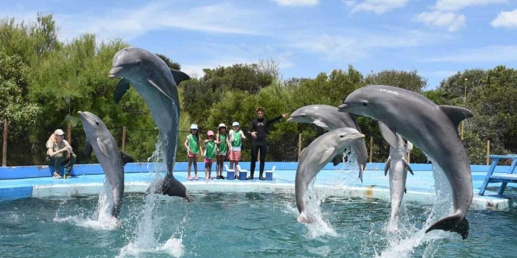 anuncian-cierre-definitivo-aquarium-mar-plata-pasara-delfines-1072593-215317.jpg
