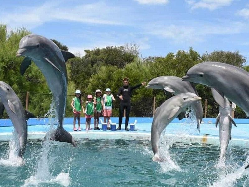 anuncian-cierre-definitivo-aquarium-mar-plata-pasara-delfines-1072593-215317.jpg