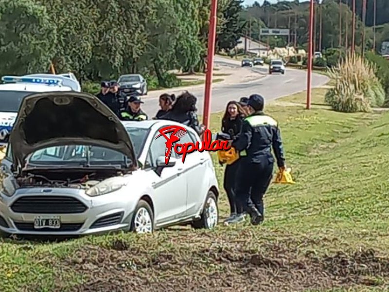 Imagen de WhatsApp 2025-04-20 a las 14.21.08_e0230b7f.jpg