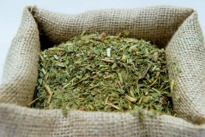 YERBA MATE.jpg