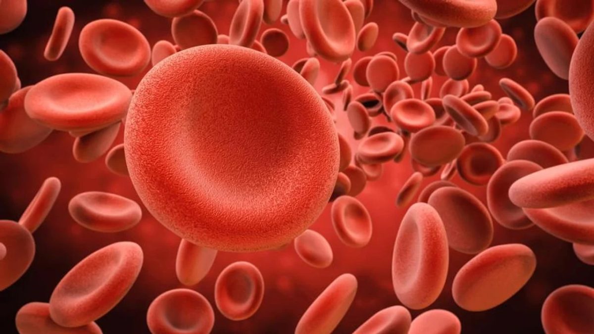 CÁNCER DE SANGRE.jpg