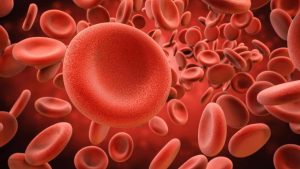 CÁNCER DE SANGRE.jpg