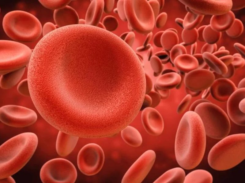 CÁNCER DE SANGRE.jpg