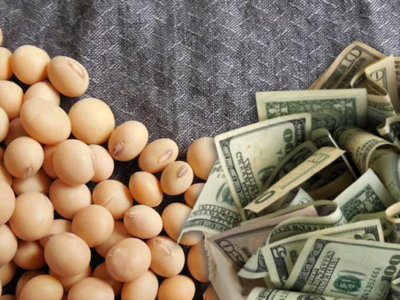 economí.png