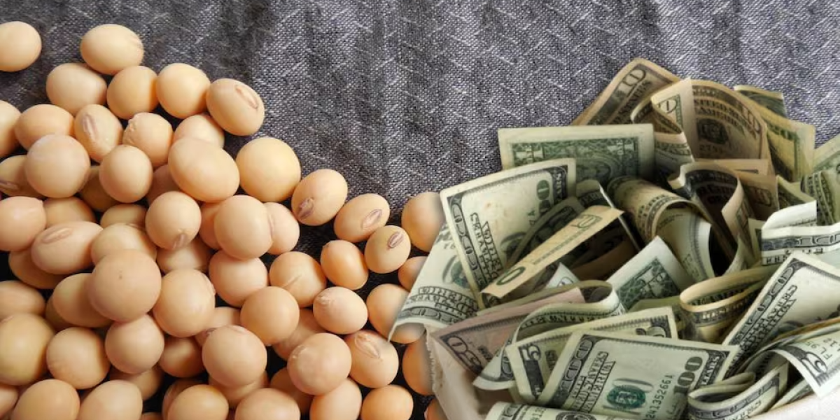 economí.png