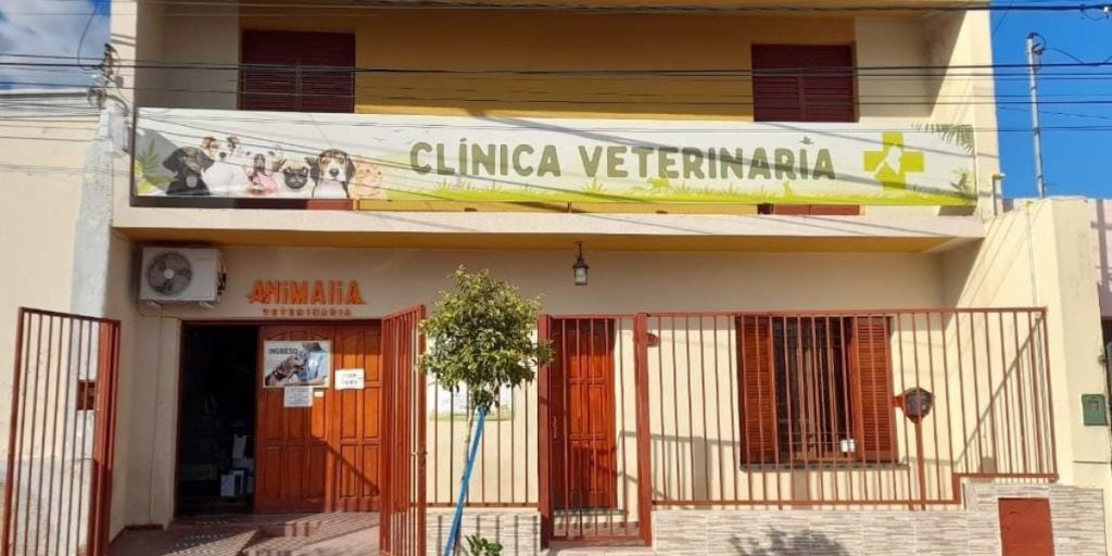 veterinaria.jpeg