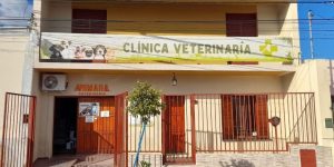 veterinaria.jpeg