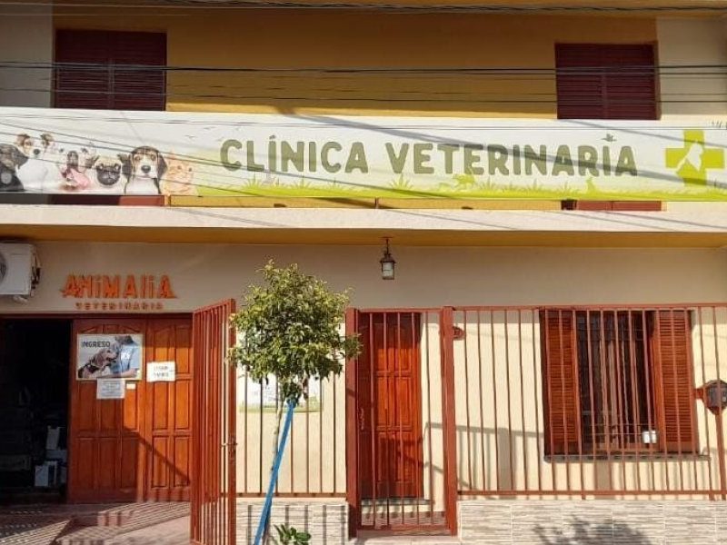 veterinaria.jpeg