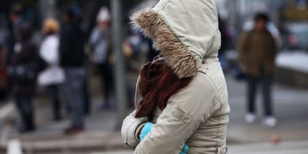 ola-polar1586475.jpg