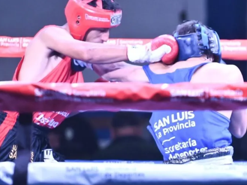 boxero.png