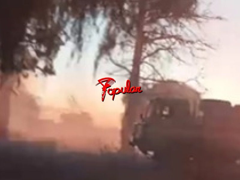 INCENDIO DE MALEZAS.jpg