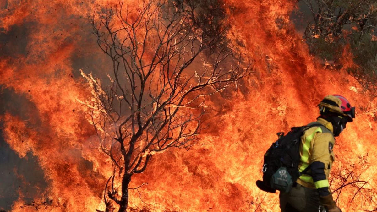 INCENDIO.jpg