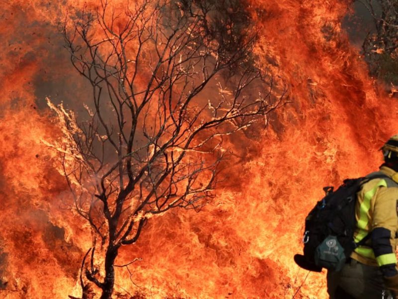 INCENDIO.jpg