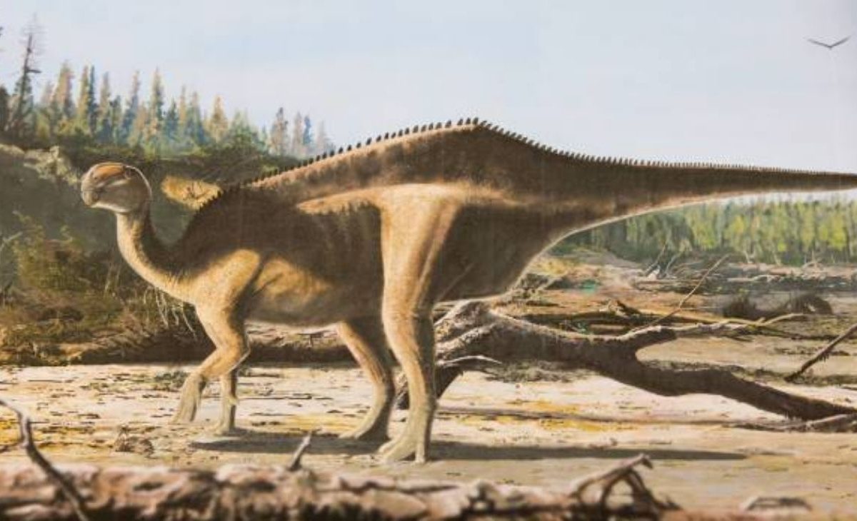 descubrieron-un-nuevo-dinosaurio-2084967.jpg