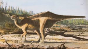 descubrieron-un-nuevo-dinosaurio-2084967.jpg