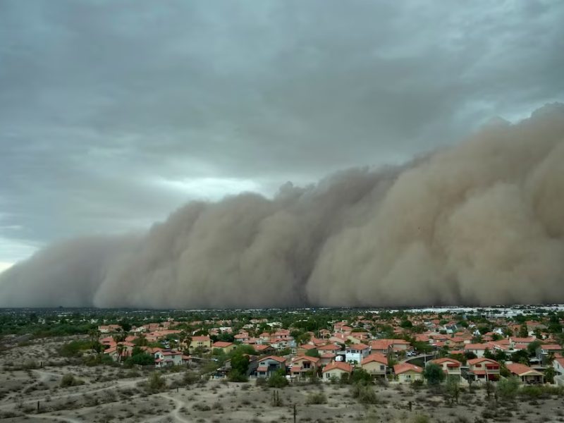 TORMENTA DE ARENA.jpg