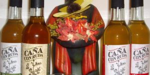 caña con ruda.JPG