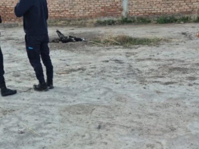 cuerpo calcinado.JPG