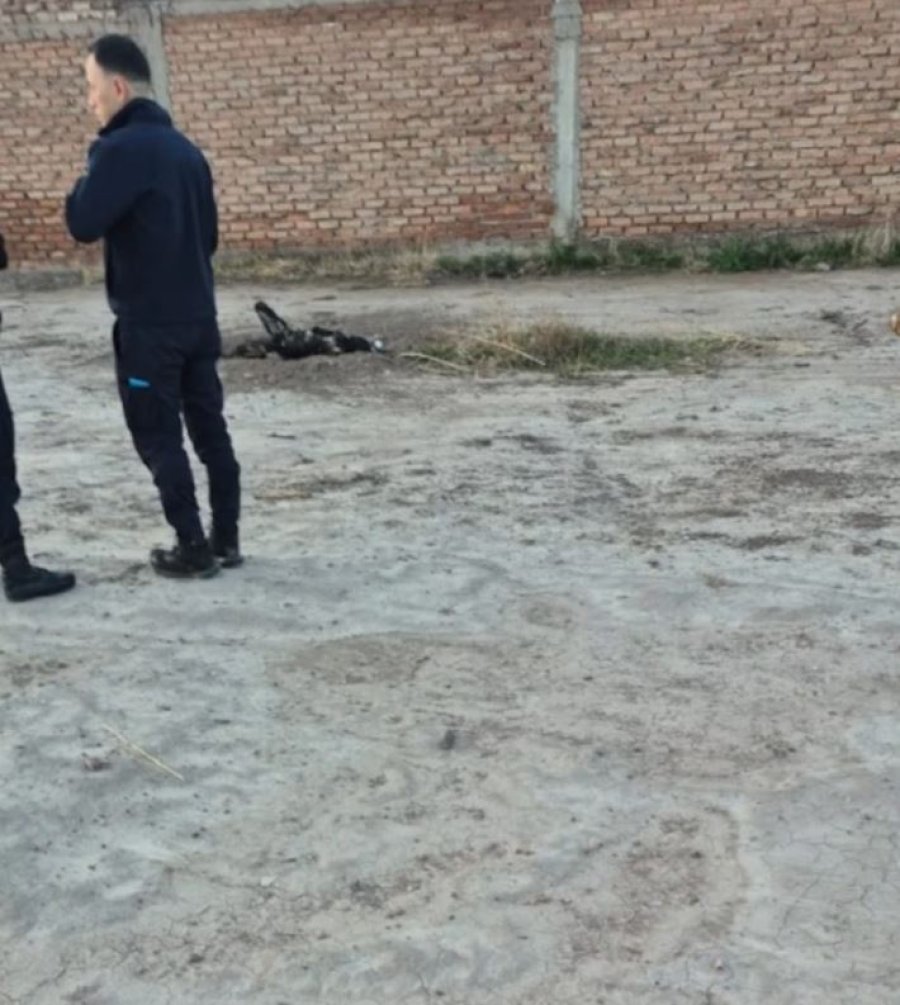 cuerpo calcinado.JPG