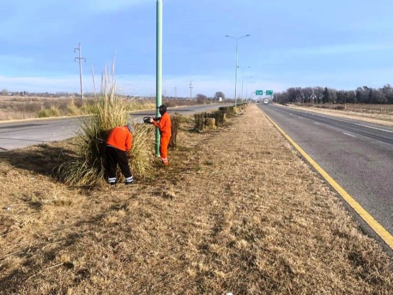 Poda-correctiva-y-desmalezado-en-la-Autopista-de-las-Serranias-Puntanas.-1.jpg
