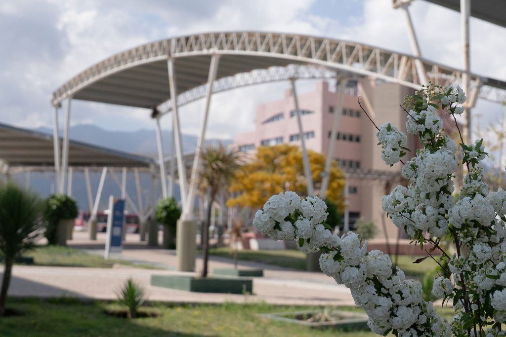 PRIMAVERA-3.jpg