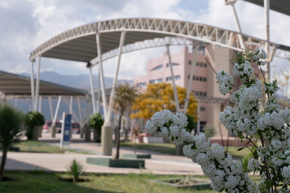 PRIMAVERA-3.jpg