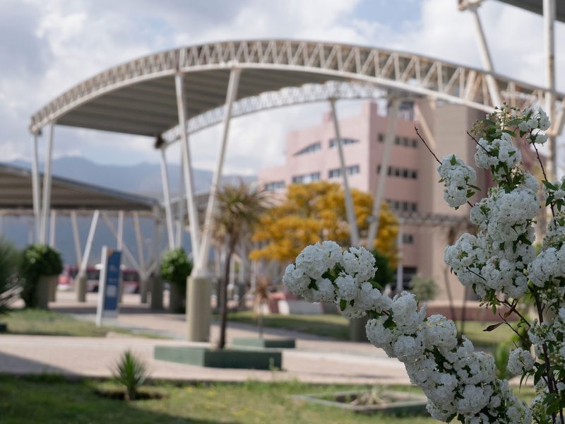 PRIMAVERA-3.jpg