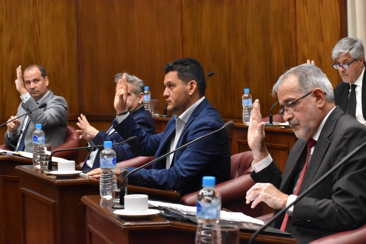 WhatsApp-Image-2025-09-30-at-2.38.33-PM-10.jpeg