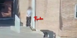 Captura de pantalla 2025-09-10 131129.png