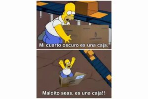 los-mejores-memes-de-las-elecciones-2125940.jpg